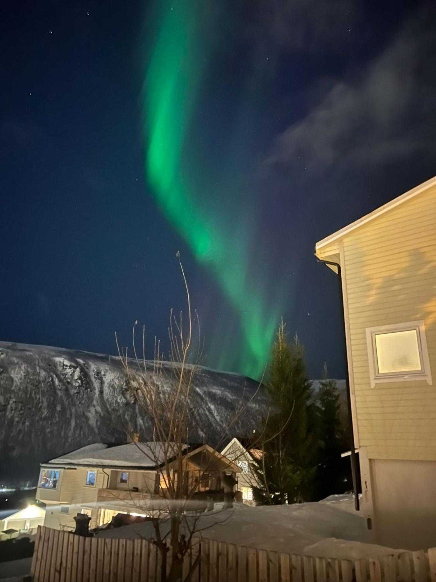 Tromso Arctic Villa With Free Parking Екстериор снимка