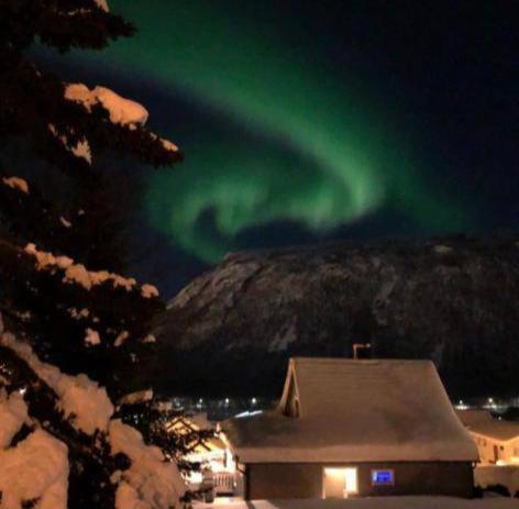 Tromso Arctic Villa With Free Parking Екстериор снимка
